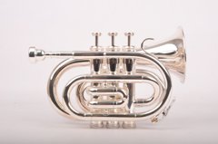 Кишенькова труба Birdland Pocket Trumpet BPT-23S