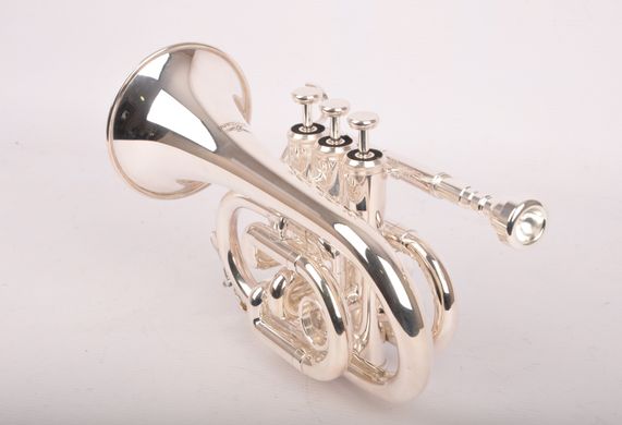 Карманная труба Birdland Pocket Trumpet BPT-23S