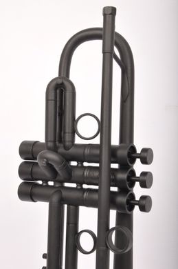 Труба Bach Stradivarius 37 Custom Black