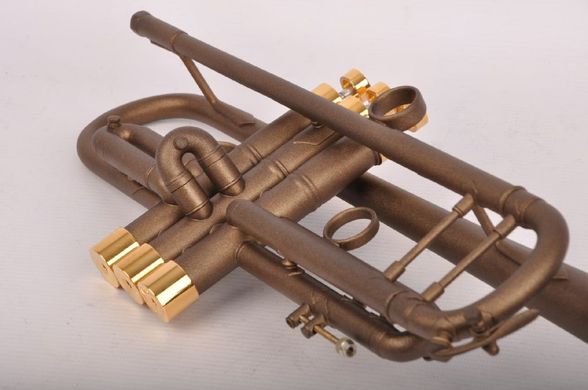 Труба Bach Stradivarius 37 Custom Brown