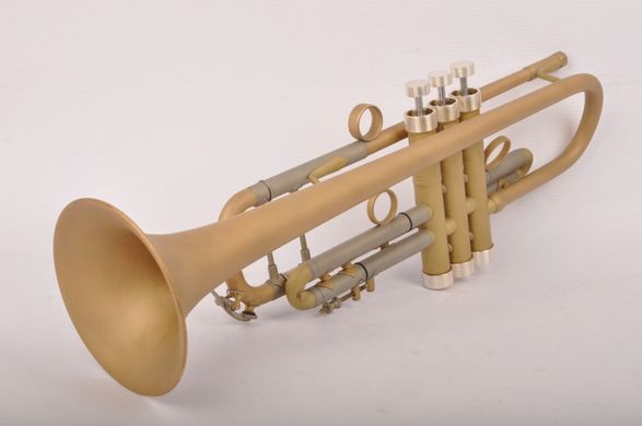 Труба Bach Stradivarius 37 Custom