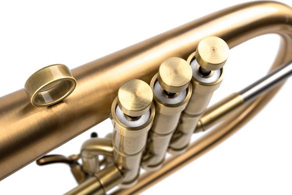 Musical instrument flugelhorn by KGUmusic