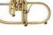Musical instrument flugelhorn by KGUmusic