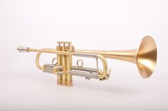 Труба YAMAHA YTR-800G Custom (Customized)