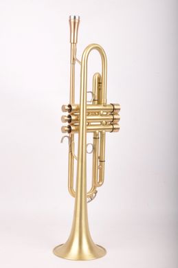Труба YAMAHA YTR-6310Z Custom