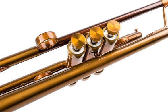 Musical instrument trumpet by KGUmusic