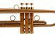 Musical instrument trumpet by KGUmusic