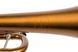 Musical instrument trumpet by KGUmusic