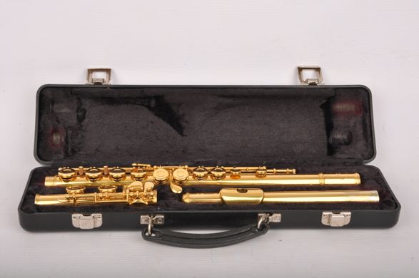 Золотая флейта. Золотая флейта Sankyo. Сколько стоит Золотая флейта. Сколько стоила бы флейта сейчас восемнадцатого века.