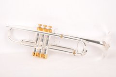 Труба Selmer Concept TT
