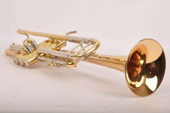 Труба Bach Stradivarius 37G