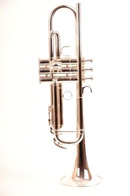 Труба YAMAHA YTR-800GS Custom (Silver)