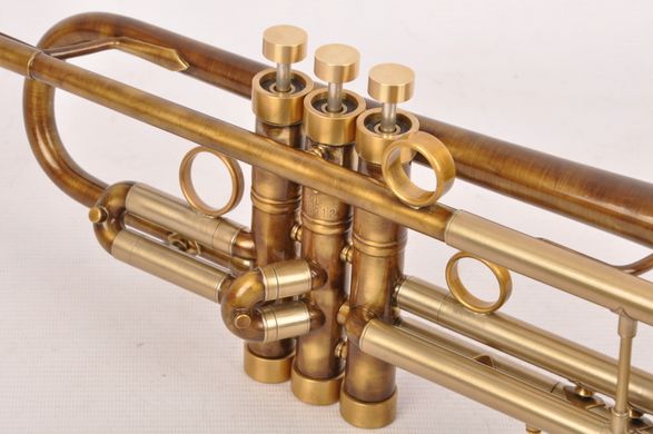 Труба Bach Stradivarius 37 custom