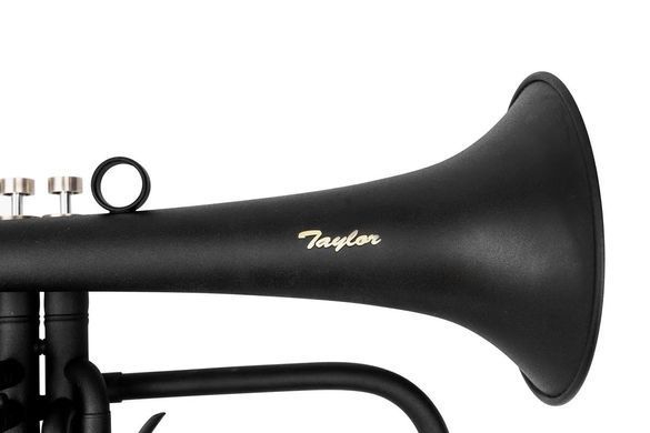 Musical instrument flugelhorn