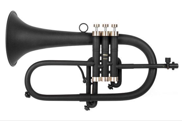 Musical instrument flugelhorn