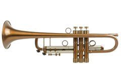 Bach Stradivarius Model 43 "Honey" by KGUmusic