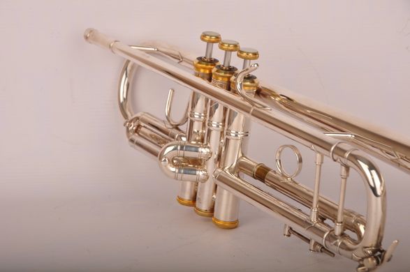 Труба Bach Stradivarius 37