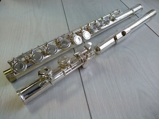 Флейта Gemeinhardt Giardinelli GFL 312