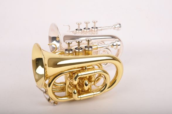 Кишенькова труба Birdland Pocket Trumpet BPT-23